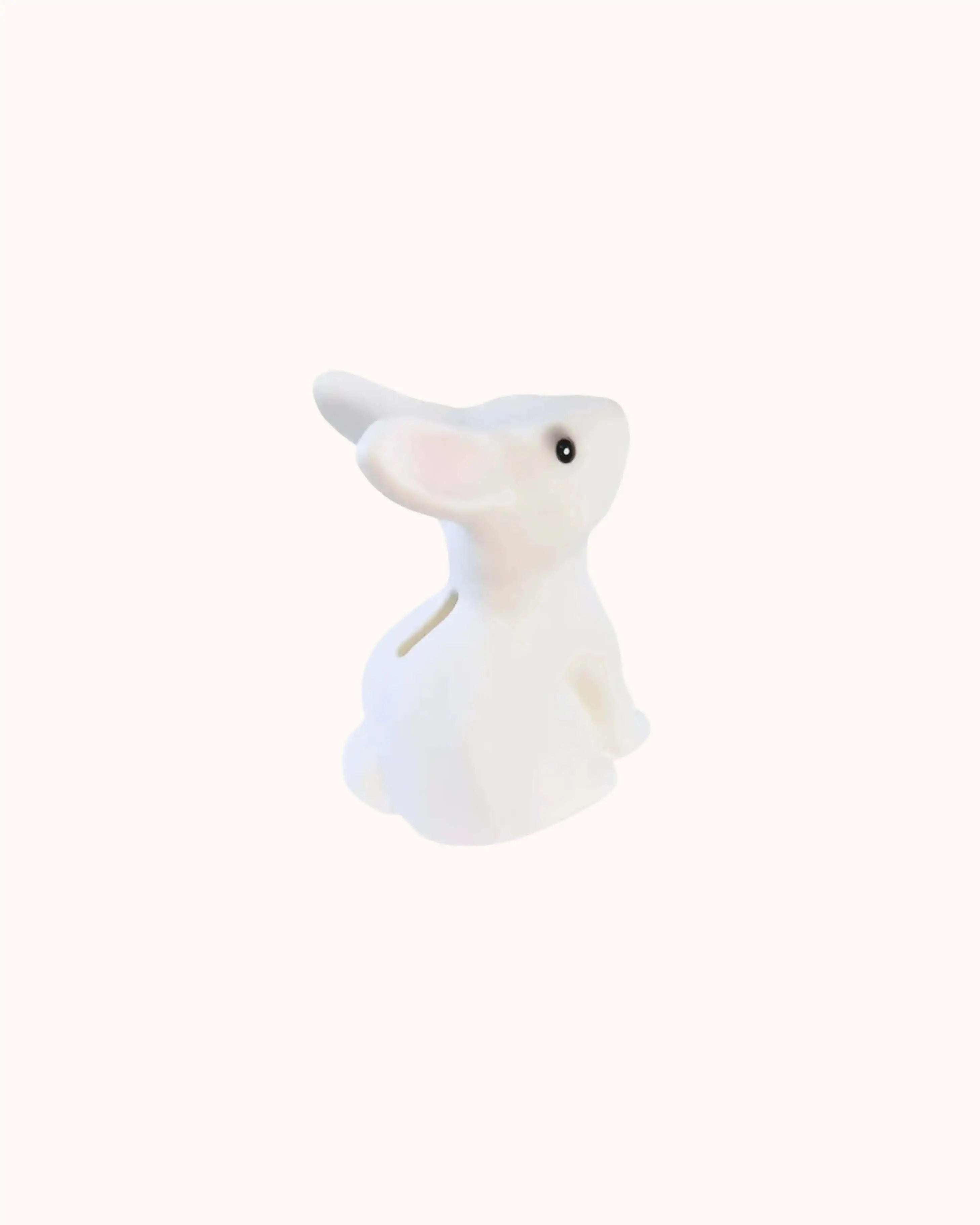 Bunny Savings Bank