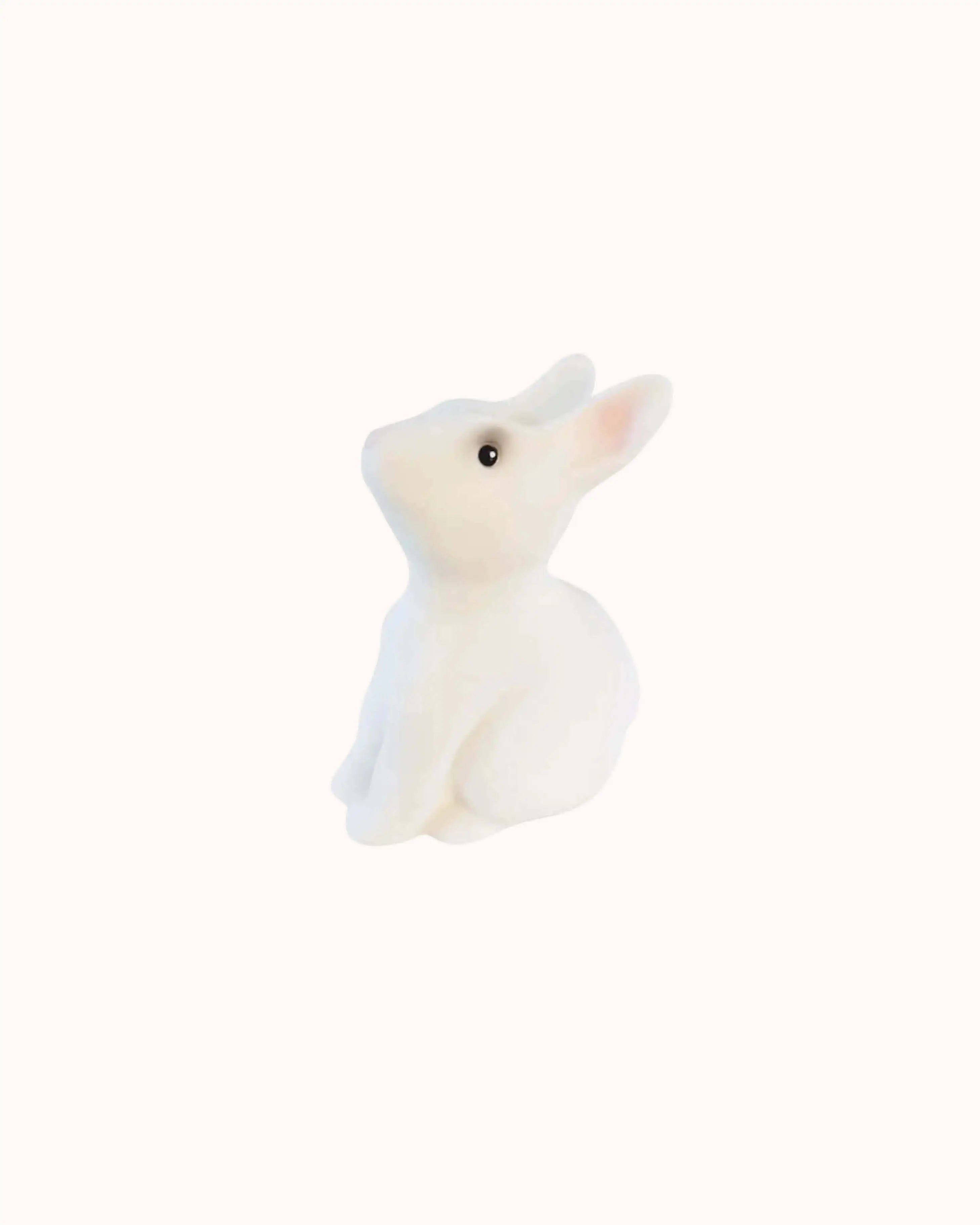 Bunny Savings Bank