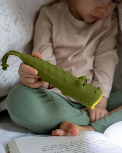 Flashlight Crocodile Croco