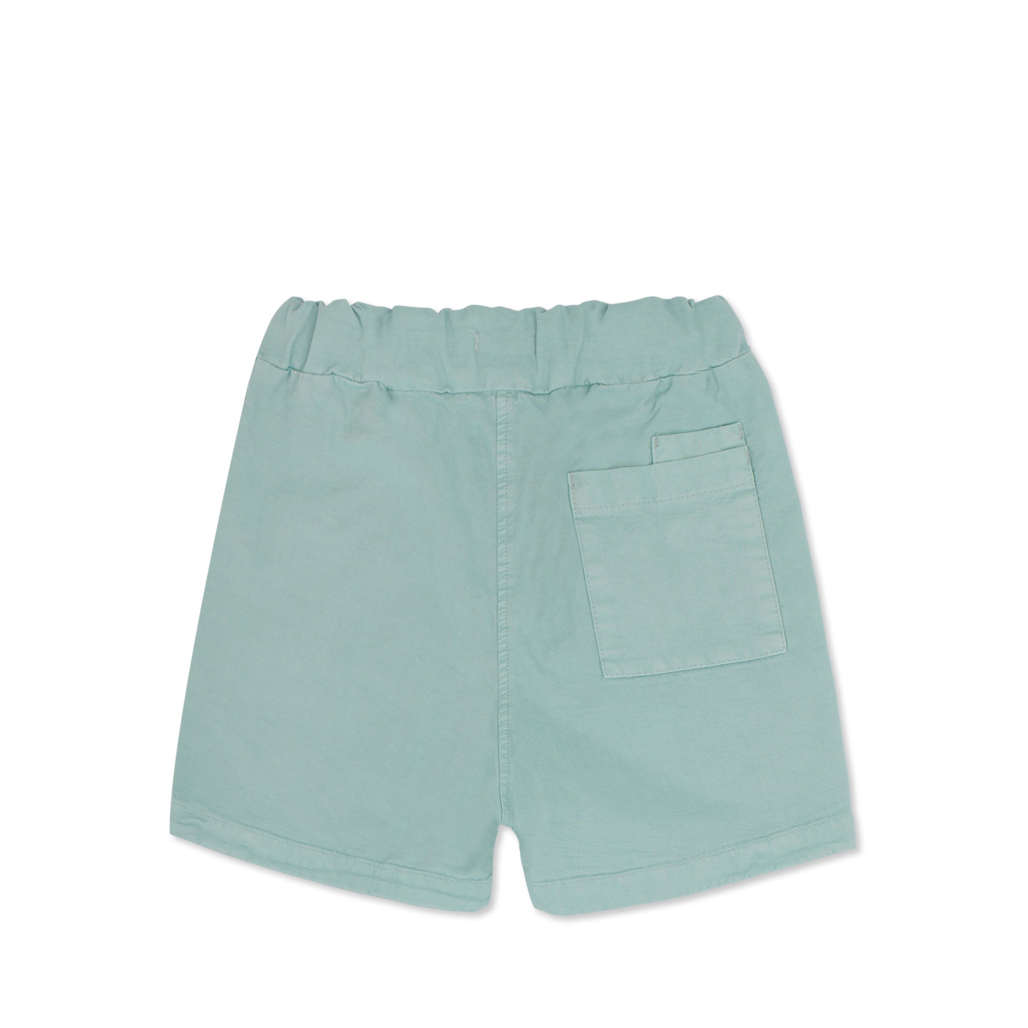Twill Shorts in stormy