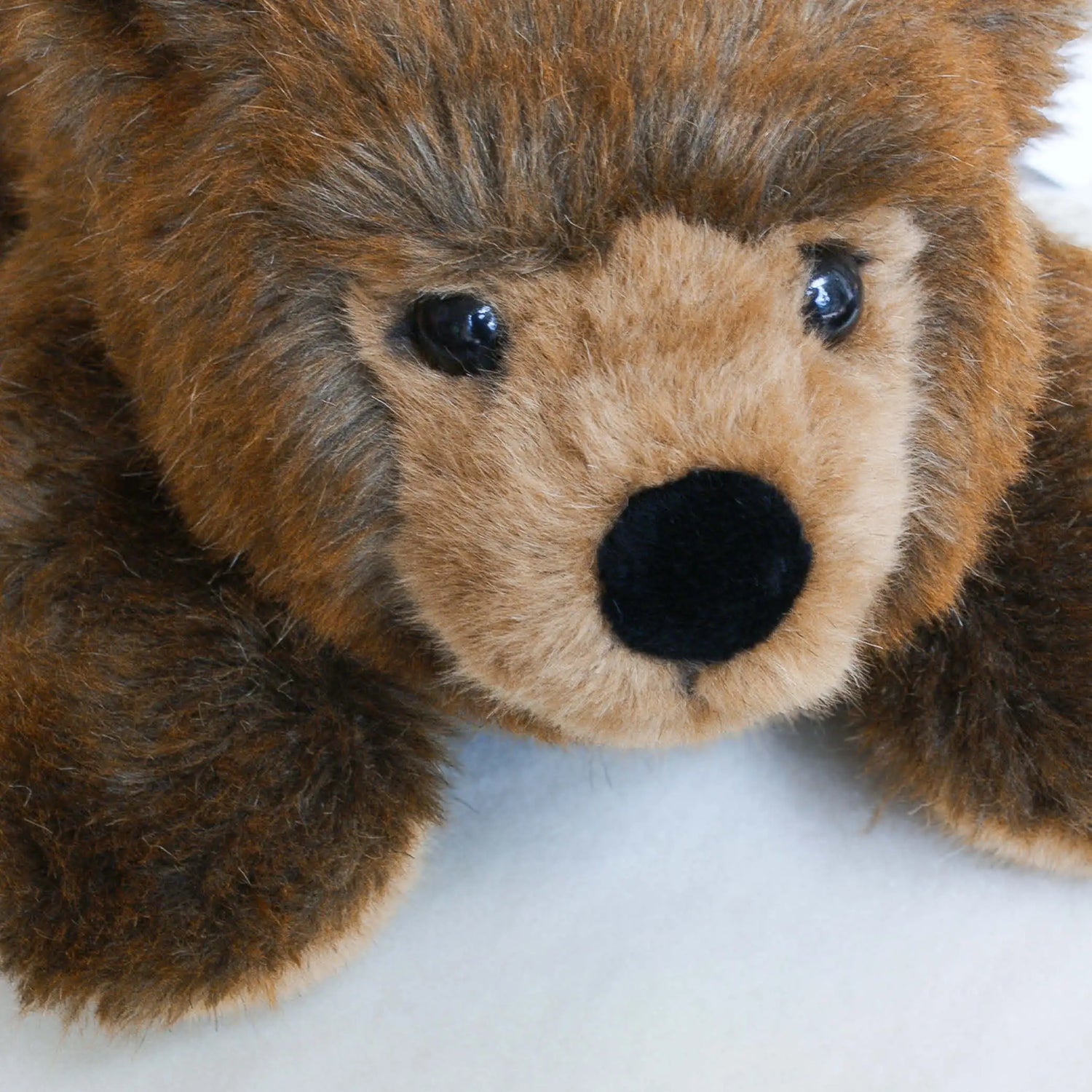 Urs Braunbär