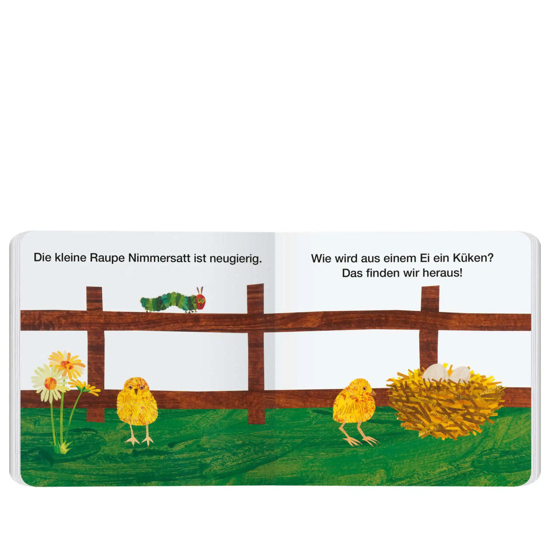 Vom Ei zum Küken