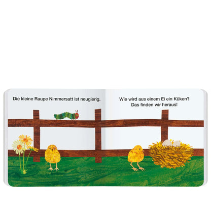 Vom Ei zum Küken