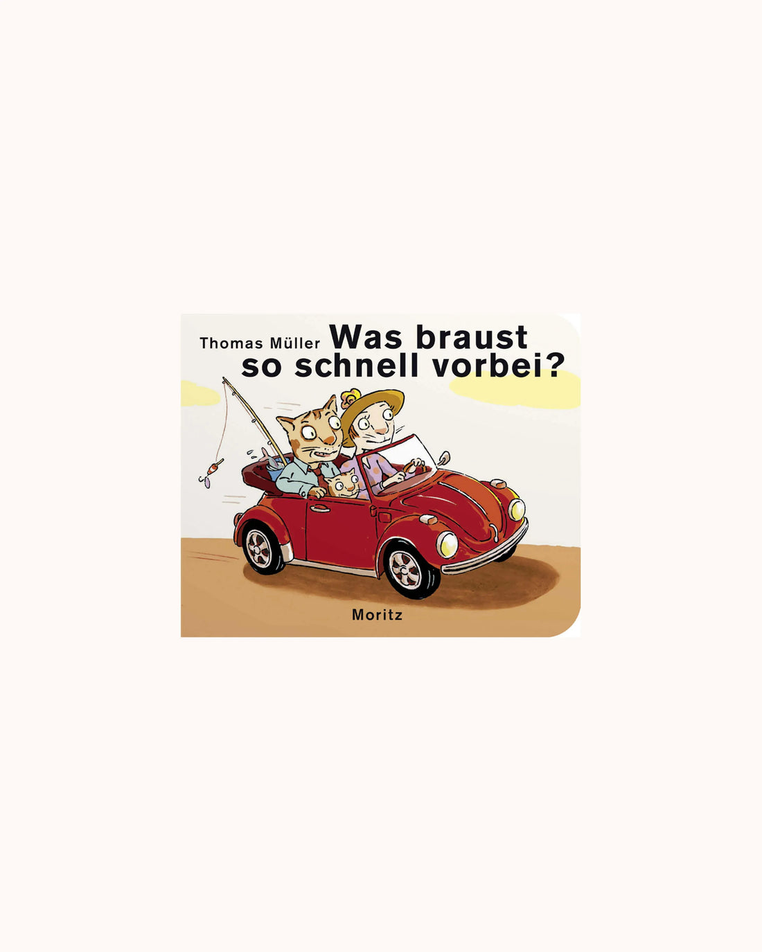 Was braust so schnell vorbei?