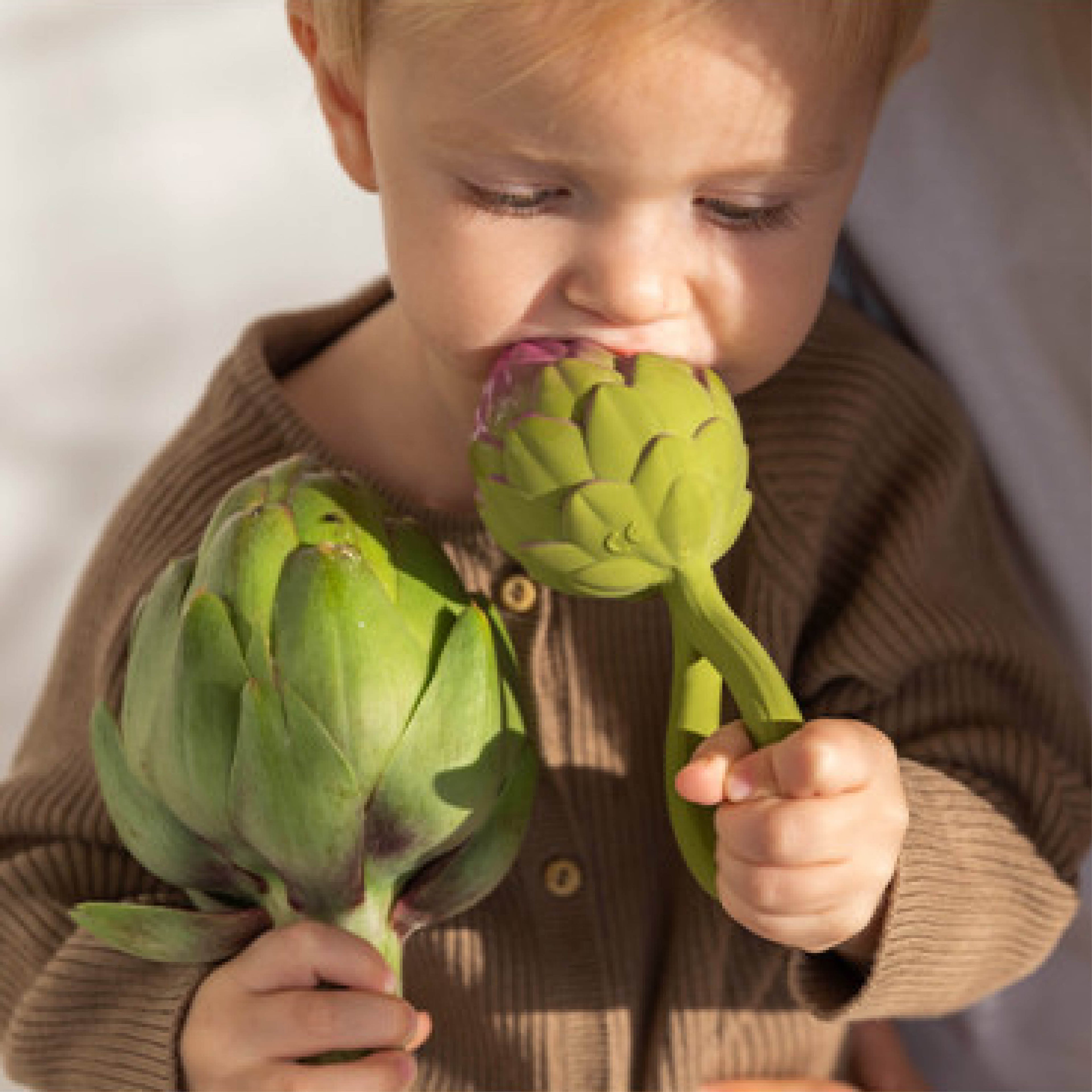 2in1 Baby Beißring und Rassel Artischocke aus Naturkautschuk und von Hand bemalt mit speiseechten Farben - gefüllt mit Kirschkernen - 100% natürlich von Oli and Carol bei kinder und konsorten Düsseldorf