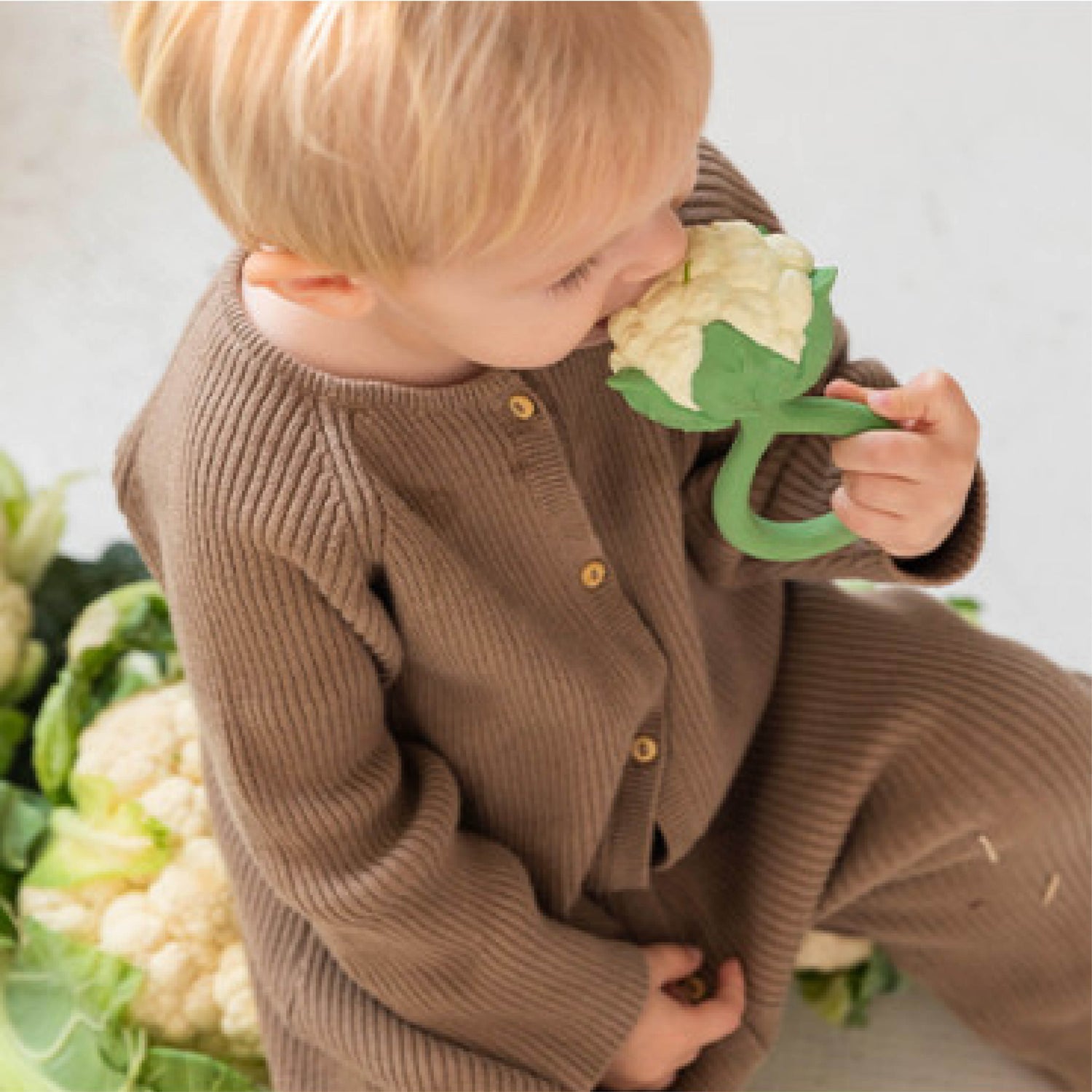 2in1 Baby Beißring und Rassel Blumenkohl aus Naturkautschuk und von Hand bemalt mit speiseechten Farben - gefüllt mit Kirschkernen - 100% natürlich von Oli and Carol bei kinder und konsorten Düsseldorf