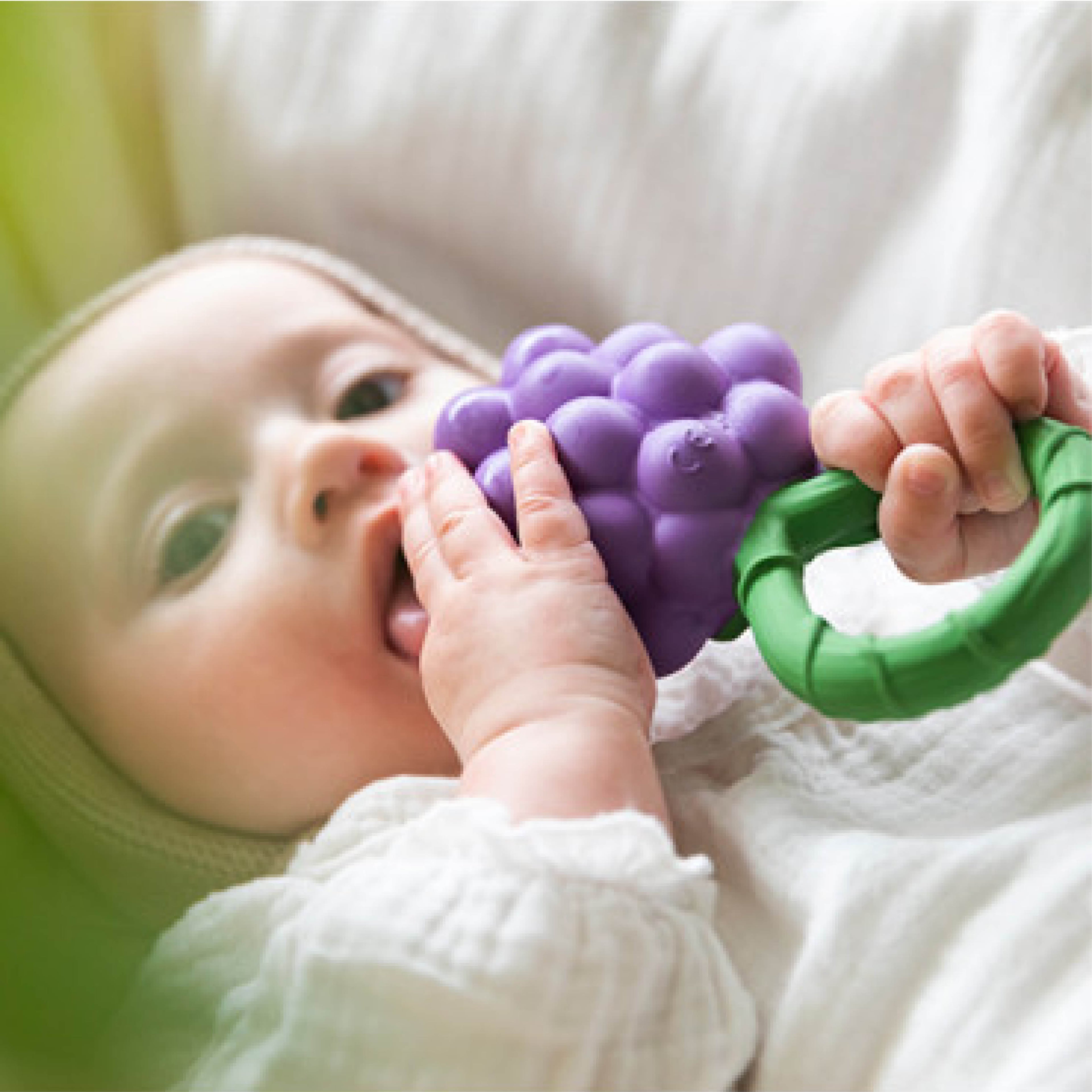 2in1 Baby Beißring und Rassel Traube aus Naturkautschuk und von Hand bemalt mit speiseechten Farben - gefüllt mit Kirschkernen - 100% natürlich von Oli and Carol bei kinder und konsorten Düsseldorf