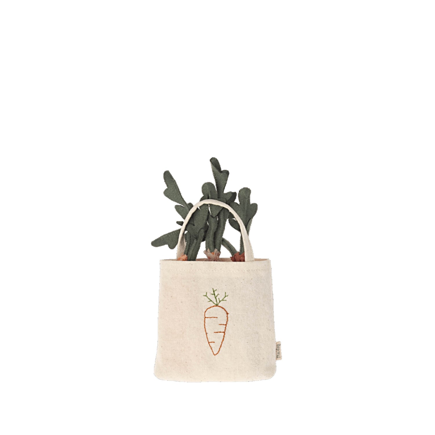 Carrots in the shopping bag