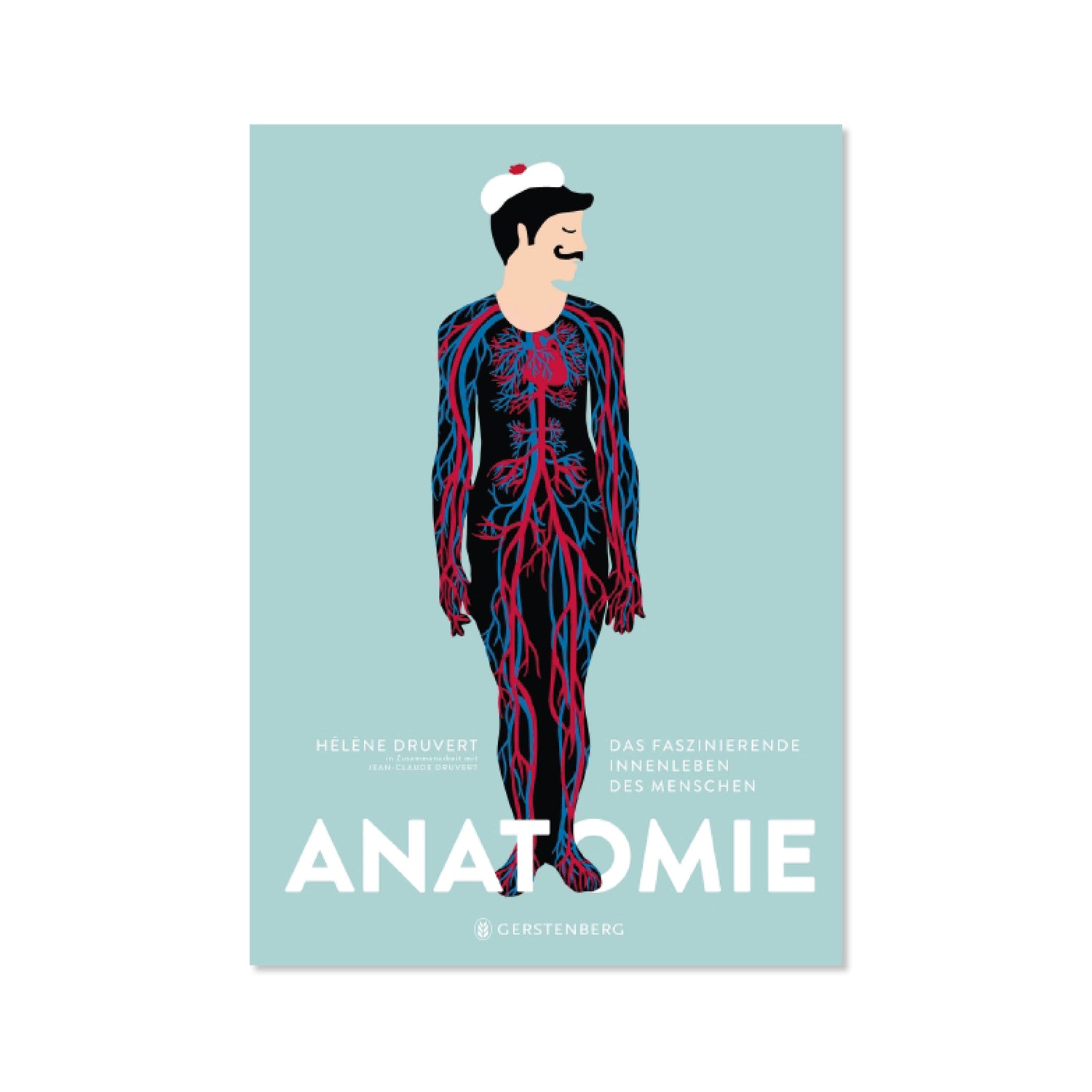 Anatomie