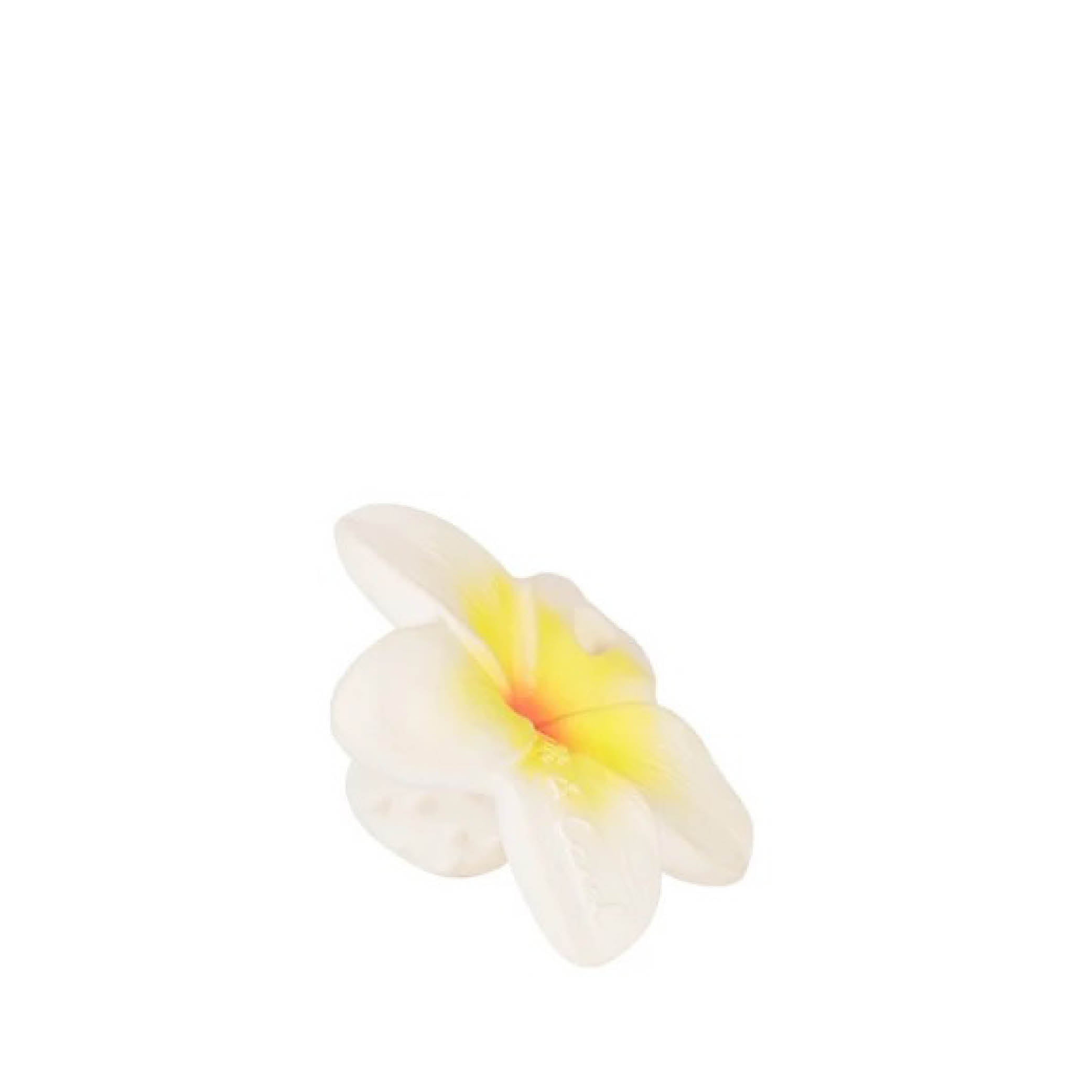 Baby Schnuller Schnullerersatz Chewy to go Hawaii die Blume aus Naturkautschuk und von Hand bemalt mit speiseechten Farben - 100% natürlich von Oli and Carol bei kinder und konsorten Düsseldorf